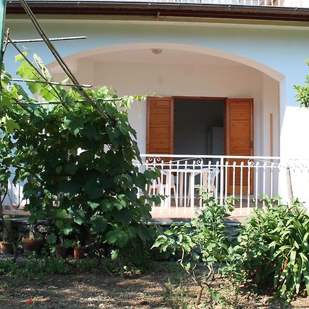 B&B Maratea Vacanze Exterior photo