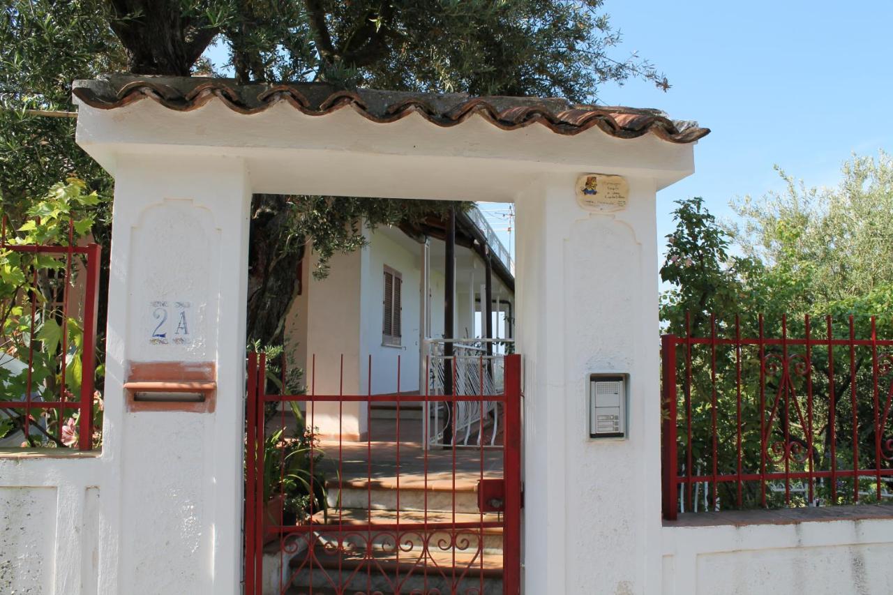B&B Maratea Vacanze Exterior photo