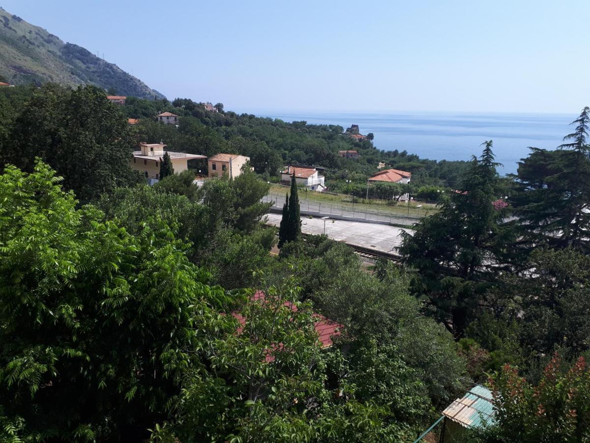 B&B Maratea Vacanze Exterior photo